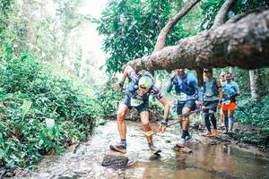 BIB: 
                            <button type="button" onclick="openModal(25372336)" class="btn btn-primary btn-sm float-right btn-popup" data-toggle="modal" data-target=".modal-high-quality">
                        <i class="fas fa-shopping-cart"></i> Add to Cart
                    </button>
                                            <button type="button" onclick="isThisMe(25372336, true)" class="btn btn-success btn-sm float-right btn-popup btn-isme hidden" data-toggle="tooltip" data-placement="bottom" title="นี่คือรูปของคุณใช่ไหม คลิกที่นี่เพื่อเอาเข้าอัลบั้ม">
                        <i class="fas fa-plus"></i> Add to album
                    </button>
                    <button type="button" onclick="isThisMe(25372336, false)" class="btn btn-warning btn-sm float-right btn-popup btn-isnotme hidden">
                        <i class="fas fa-ban"></i> Remove from album
                    </button>